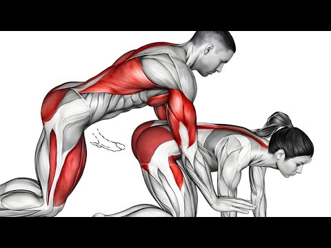 7 Exercises You MUST Do Every Day to Feel the Difference!