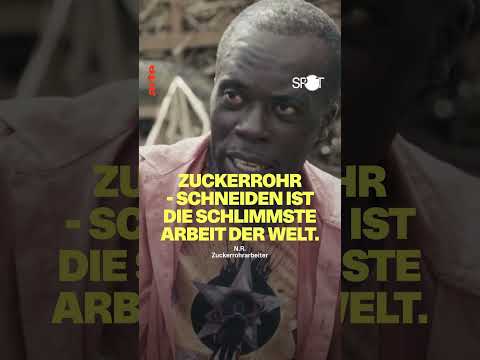 Zucker: Genuss um welchen Preis? | ARTE #spot #zucker
