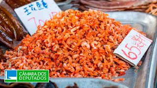 DESENVOLVIMENTO ECONÔMICO - Comércio de camarões entre Brasil e China - 25/04/2024 09:30