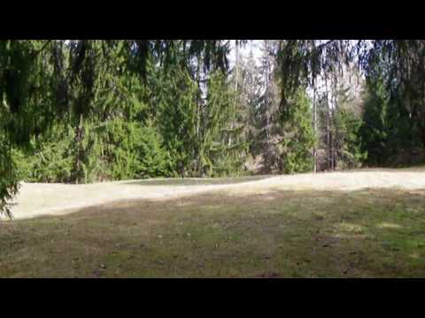 Regole di Castelfondo - 1310 m  s.l.m. (Alta Valle di Non - TN)