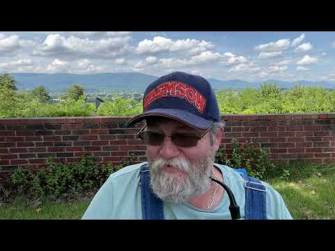 Milan Diplomat in A Peterson 313 System Pipe.