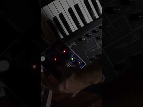 FMD Sometimes @mattiacarlocherubini @ohmyfuckingdemp #piano #prophet #synth #calmpiano