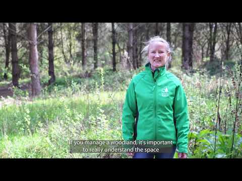 Woodland Ecosystems and Forest Education