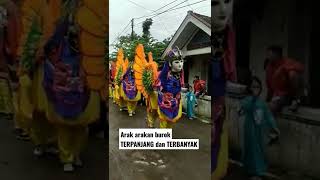 Download lagu ARAK ARAKAN BUROK TERPANJANG DAN TERBANYAK #shorts #burok #terbaru #viral #viralshorts mp3