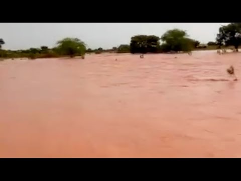 🇧🇷 MUITA CHUVA NA BAHIA, DOM BASÍLIO, BAHIA, MUITA CHUVA 01/02/2026