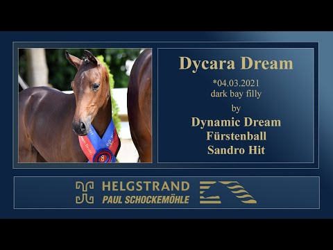 4 Dycara Dream by Dynamic Dream - Fürstenball - Sandro Hit