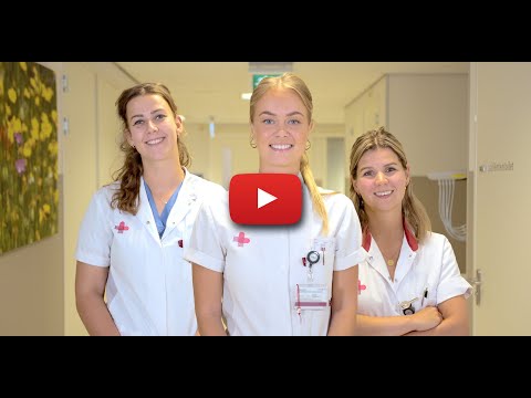 The Nursing Professional in the JBZ