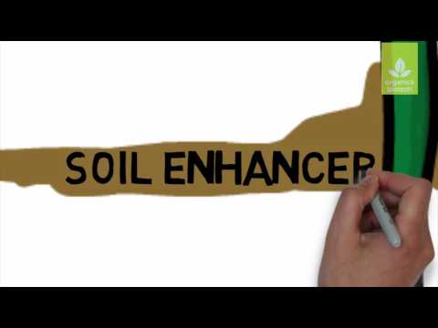 Powder bio neem pesticide magicgro bacillus subtilis, pest c...