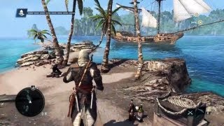 PS4 - Assassin's Creed 4 Open World Gameplay