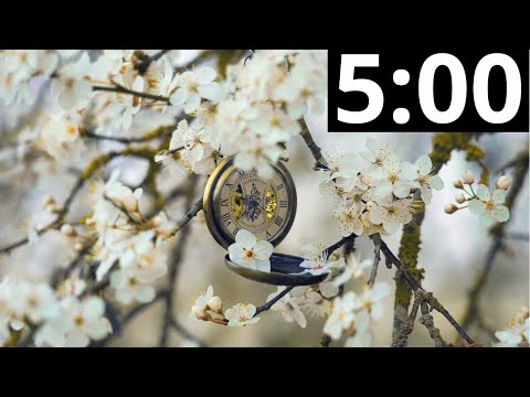 5 Minute Timer with Classical Music | Relaxing | Focus | Piano Instrumental