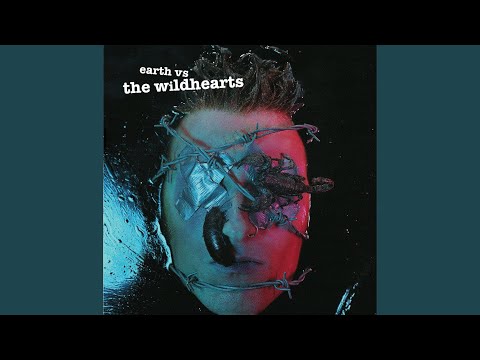 My Baby Is A Headfuck - The Wildhearts
