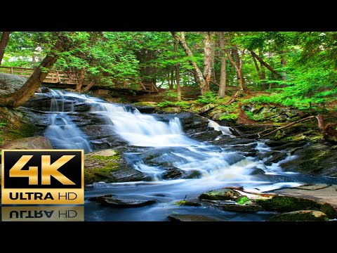 4K Fresh Waterfall - Natural White Noise Sounds, Flowing Water,  Relaxation: Sleep Video - Ultra H