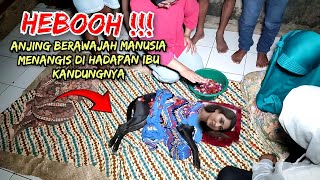 Download lagu π΄ VIRAL !! AZAB ANAK DURHAKA,ANJING BERUBAH WUJUD MENJADI WAJAH MANUSIA mp3 Download lagu π΄ VIRAL !! AZAB ANAK DURHAKA,ANJING BERUBAH WUJUD MENJADI WAJAH MANUSIA mp3