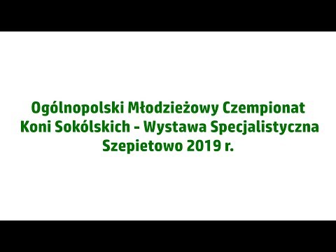 Ogólnopolski Młodzieżowy Czempionat Koni Sokólskich - Wystawa Specjalistyczna - Szepietowo 2019