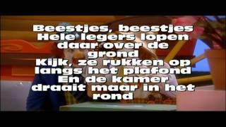 Ronnie en de Ronnies Accords
