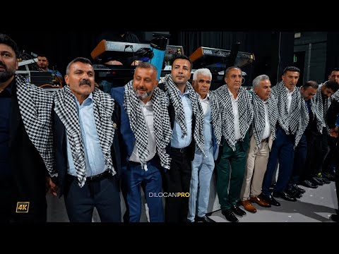 Hakim Lokman / Hemdiye & Mahsum /Aslan Deko/Part06/ #DilocanPro #Hochzeit #Wedding #Kurdish #Dilocan