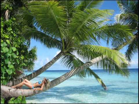 Vinylshakerz - Club Tropicana (Marcus Levin Remix)