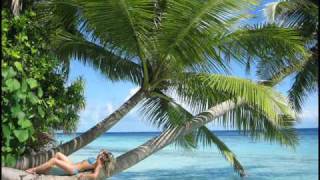 Vinylshakerz - Club Tropicana (Marcus Levin Remix)