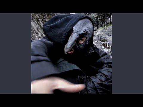 Dedicación Evolución