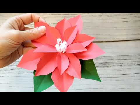 YouTube video preview image