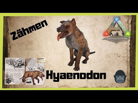 🦖ARK‬ Survival Evolved 🦖  Hyaenodon zähmen 2022 [/Taming/INFO/ GUIDE/Deutsch/Dinos zähmen]