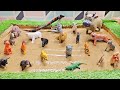Kids Fun Learning Time With Safari Creatures And Farm Animals Fun For Toddlers