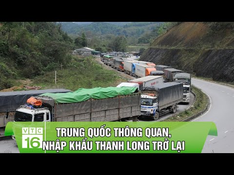 Trung Quốc thông quan, nhập khẩu thanh long trở lại | VTC16