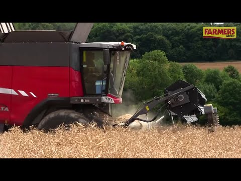 Harvest 2017: OSR yields surprising 3.5t/ha in Oxfordshire