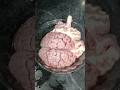 Magaz Banane Ka Tarika Beef Brain Recipe Magaz Masala Recipe Magaz Magazrecipe