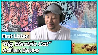 Adrian Belew- Big Electric Cat REACTION &amp; REVIEW