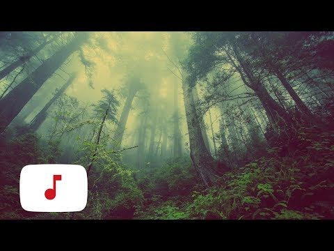 Mysterious and Atmospheric Crescendo | Copyright Free Music