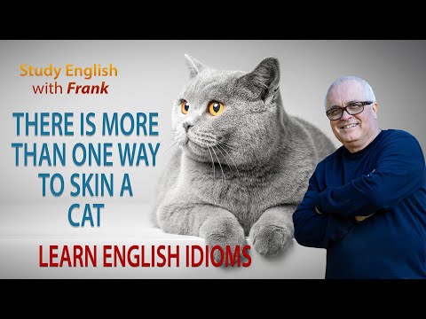 Learn English Idioms - There is More than One Way to Skin a Cat
