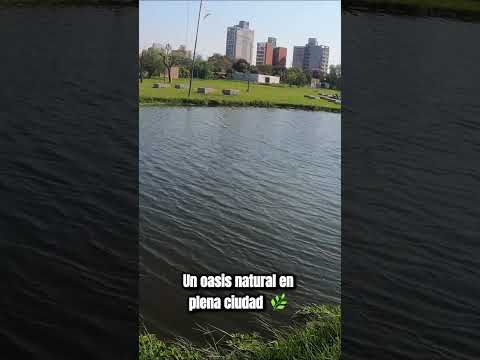 🍃 Naturaleza escondida en Resistencia | Laguna Argüello