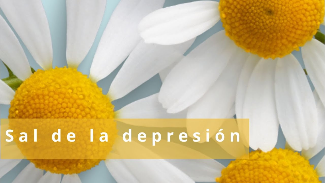 Juan Pedro Pérez Badia-4