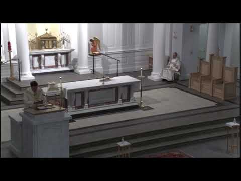 “Saints Timothy and Titus” Homily