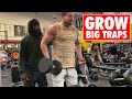 The ONLY 3 Trap Exercises *YOU NEED* To Grow Big Traps Fast // DUMBBELLS ONLY!