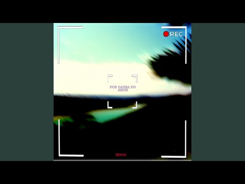 Por Causa do Amor (Remix)