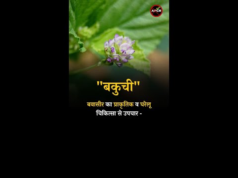 Natural and Home Remedies for Piles Bakuchi #pilesclinic #piles #pilescare #shorts # Bakuchi