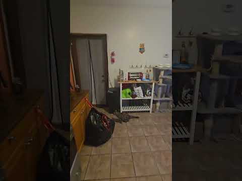 15 Litchfield St - Video 5 of 5
