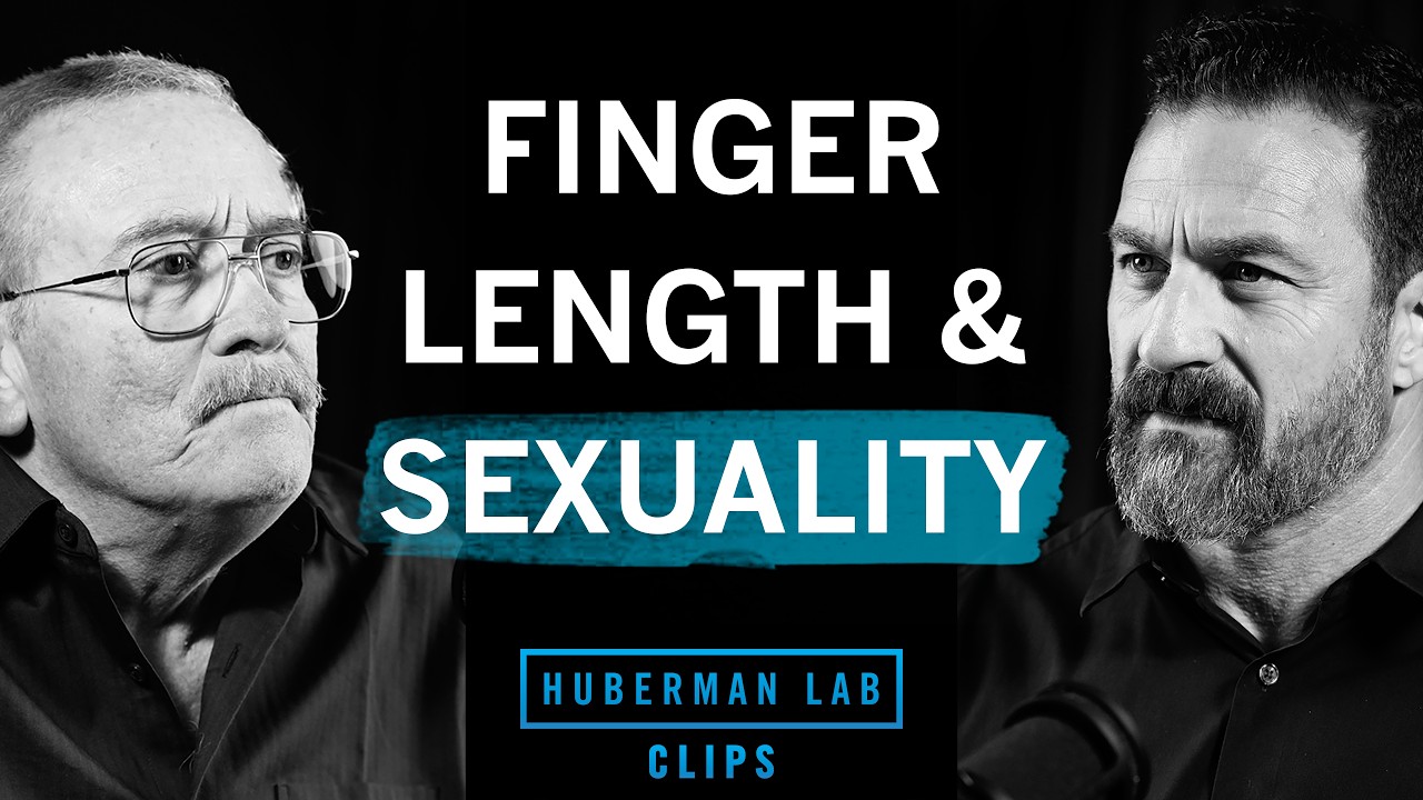 Can Finger Length Predict Sexuality? | Dr. Marc Breedlove & Dr. Andrew Huberman