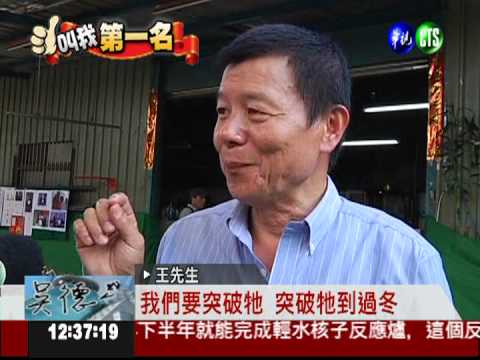 水桶裡養殖大閘蟹 不輸陽澄湖