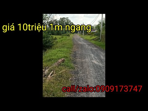 Đường ĐT 838, Xã Mỹ Quý Tây, Đức Huệ, Long An