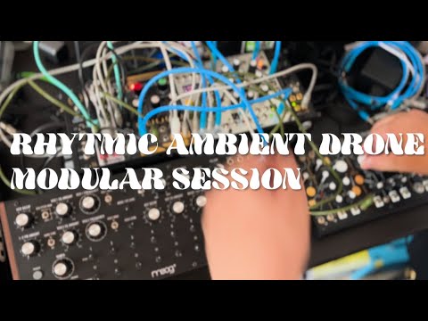 Rhythmic ambient drone modular session with Moog DFAM, Make Noise Strega, Pam's pro workout and more
