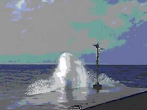 Safeword Sasquatch--Change Is Steep (Ft. Christa Kae Fischer)