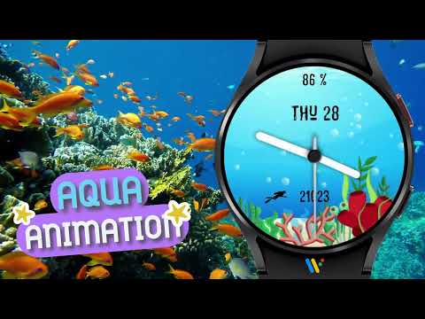 Aqua Animation