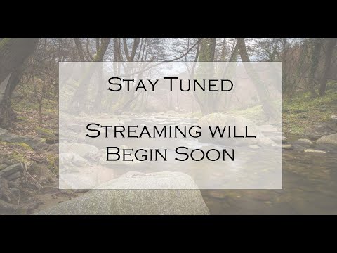 Meeting thumbnail