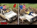 These People Were EATEN ALIVE During Safari Trips