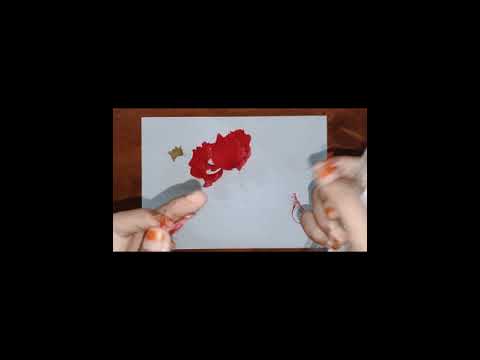 EFT1023 Lab Conduct (Dissecting Flower (