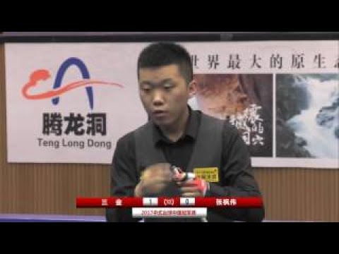 Sanjin Pehlivanovic VS Zhang Fengwei Men 2017CBSA Chinese Billiards Chinese Championship H