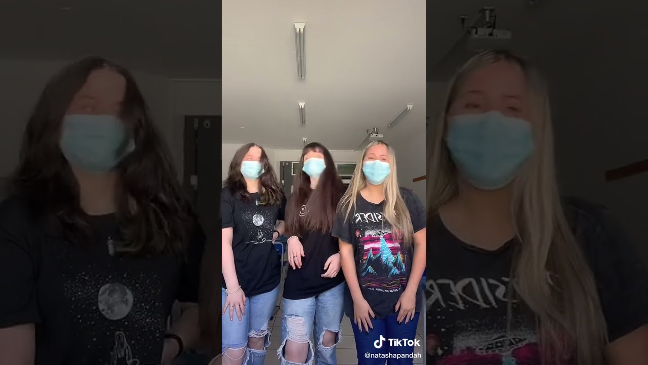 🐼} As gatinhas chegaram !!!🐱🐈